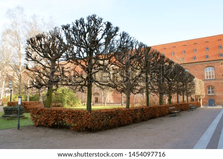 A garden with lovely trees that we saw in Copenhagen, Denmark, in a calm afternoon.