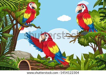 Parrots in jungle scene illustration