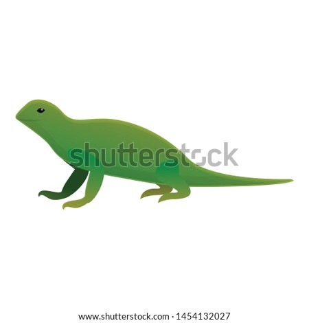 Iguana lizard icon. Cartoon of iguana lizard vector icon for web design isolated on white background