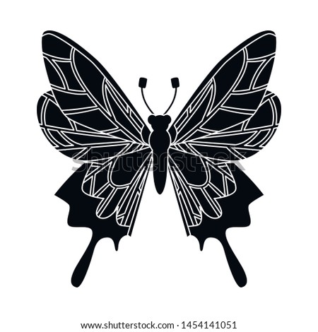 Isolated object of butterfly and wings symbol. Set of butterfly and wing vector icon for stock.