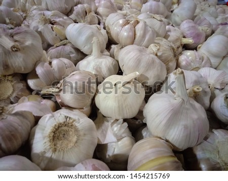White garlic pile texture. Fresh garlic on market. Vitamin healthy food spice image. Spicy cooking ingredient picture. Pile of white garlic heads. White garlic head heap top view