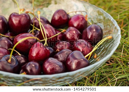 Red ripe sweet cherry in a glass bowl on green grass. Summer berries.