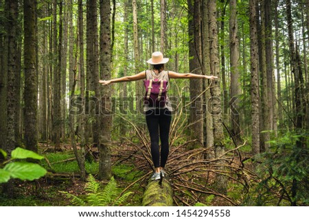 Woman with hat and backpack balancing on broken tree trunk in pine forest.