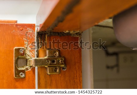Traces of termites eat wood, Timber beam of door damaged by termite which eat for a long time, The wood home with termites damage in kitchen. Royalty-Free Stock Photo #1454325722