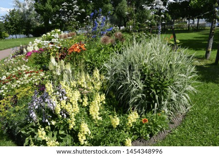 flowers on flower beds in the garden, landscape design of the garden