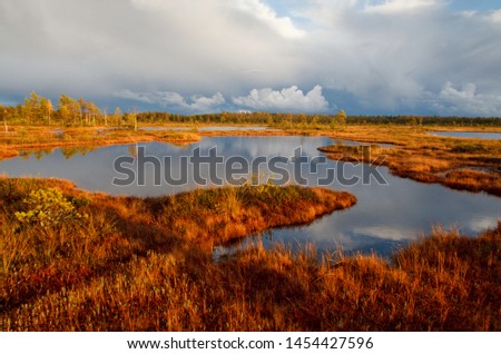 Dark blue autumn clouds passing the sunset lit peat deep red peat moss bog landscape with pools and sky reflections in Nigula bog, Pärnu county, Estonia. Royalty-Free Stock Photo #1454427596