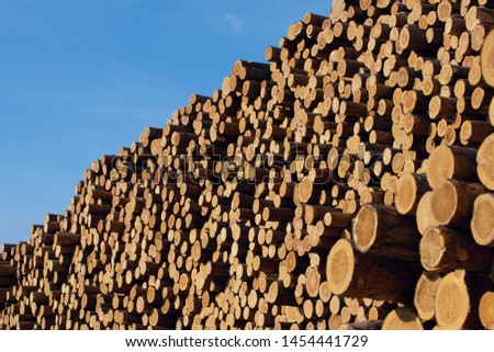 Pile of wooden logs on a blue sky.