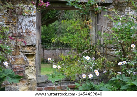 ruin castle window in garden 