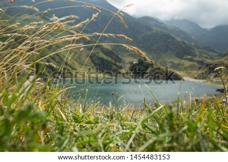 Landscape with alps, ountain lake in Italy