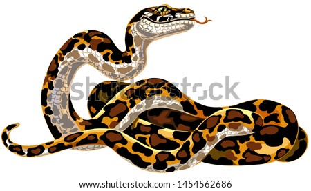 Cartoon python big snake. Boa constrictor isolated on white. Vector illustration