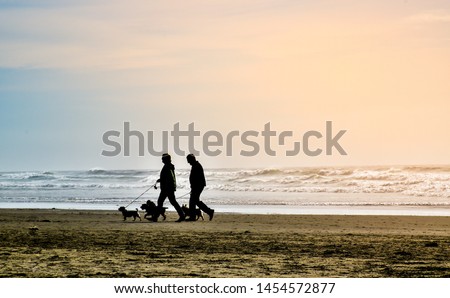 silhouette pictures of man and woman are walking on the beach with 3 dogs