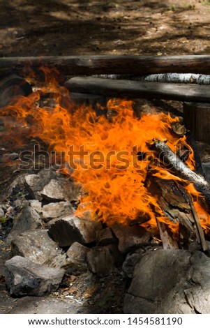 Smoldering ashes of a fire. Firewood burning flames of orange and red color on a dark background. Fire flames.