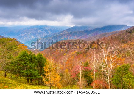 Landscape in Nikko National Park in Tochigi, Japan.