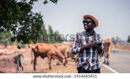 African man photographer traveling in countryside with cows.16:9 style