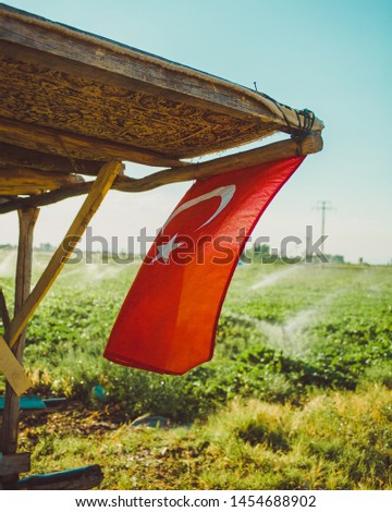 Turkish flag swings under the influence of the wind