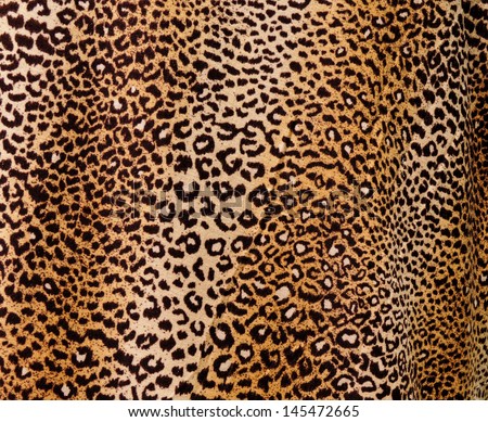 Leopard background Royalty-Free Stock Photo #145472665