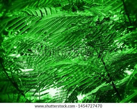 green leaf, natural green background.