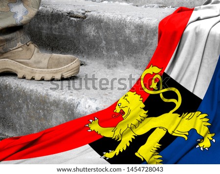 Military concept on the background of the flag of Benelux