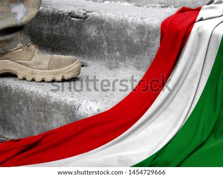 Military concept on the background of the flag of Hungary