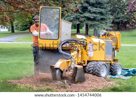 A young man operates a stump grinder, a machine that grinds down a tree stump into fine mulch Royalty-Free Stock Photo #1454744006