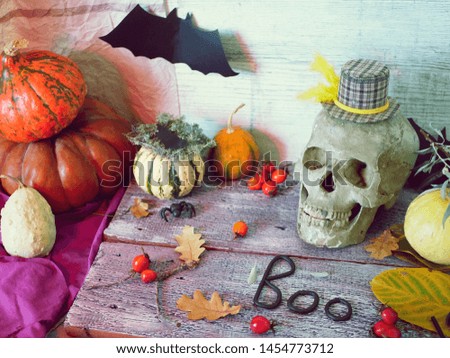 Decorative composition of a skull, pumpkins, leaves and mystical decor with red lighting on a gray wooden background, Halloween, autumn, top view
