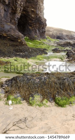 rockpools on a beach, full of water and sea weed.