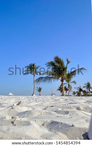 White sand on the beach with palm trees in windy weather Royalty-Free Stock Photo #1454854394