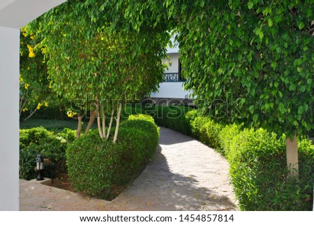 Narrow path, stone path through green mini trees and shrubs Royalty-Free Stock Photo #1454857814
