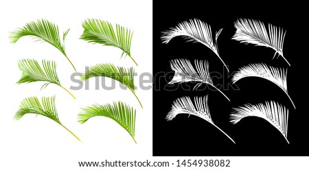 Collection of green palm leaves isolated on white background with alpha chanel Royalty-Free Stock Photo #1454938082