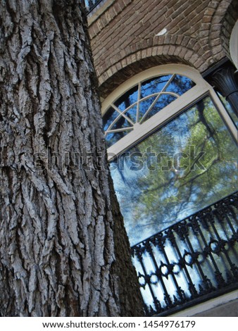 reflection of trees and sky in window