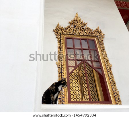 Mixed colors street cat at Metal castle (Loha Prasat temple/Wat Ratchanatdaram), Bangkok, Thailand. The picture was taken in October 2017.