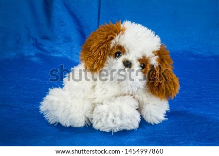 Toy dog on a fabricstudio background