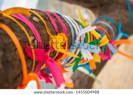 Wish tree with many multicolour ribbons tied on its bole, close up view. Photographed in Crimea.  