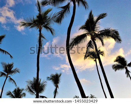 big island Hawaii beach front at evening 