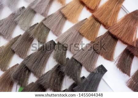 Hair color chart. Palette of dyed bright shiny hair samples. Catalog for selection in a beauty salon