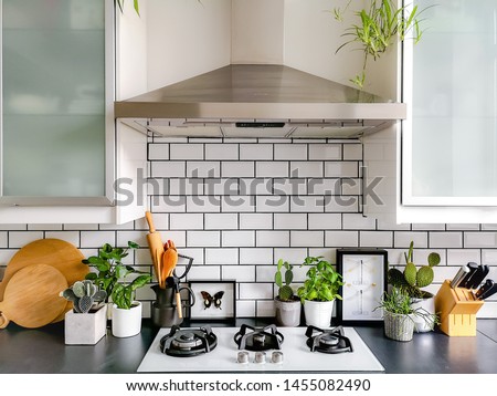 Black and white subway tiled kitchen with numerous plants and framed taxidermy insect art Royalty-Free Stock Photo #1455082490