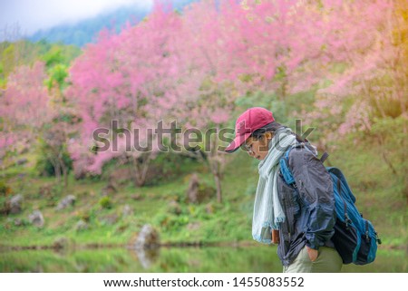 Female traveler walking around the pond with Sakura blooming in the north of Thailand after finish hiking in winter season and colorful of pink flower background. Hiking Concept