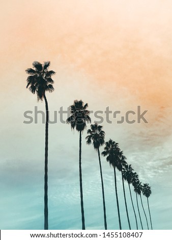 California orange and blue sunset with palm trees