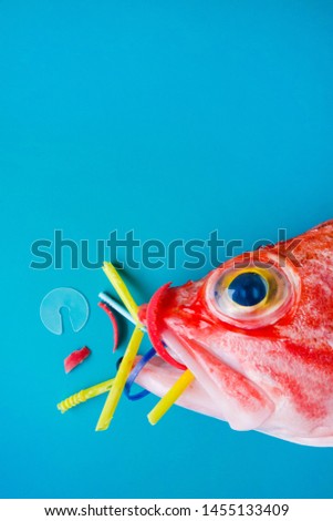 Red fish (Blackbelly Rosefish) on a blue background, eats plastics and microplastics. Concept of pollution in the oceans.
