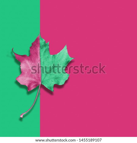 Autumn pink and green leaf on abstract background in contemporary style