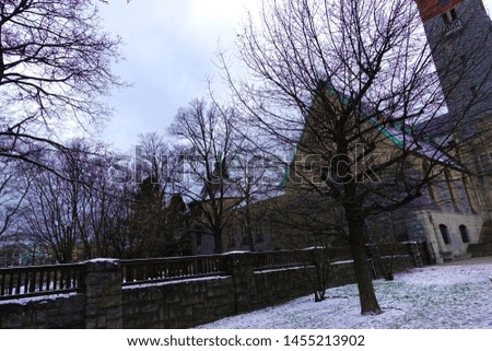  Photo of tree background and winter sky