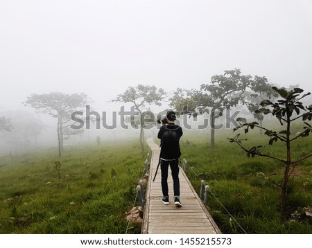 People walking along the path to view the scenery of flower fields, natural grasslands in Thailand.
