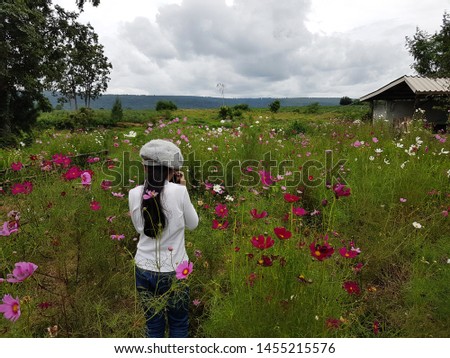 People walking along the path to view the scenery of flower fields, natural grasslands in Thailand.