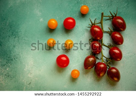 A branch of dark red cherry tomatoes lies on a blue background, and ripe red and yellow tomatoes are next to it.