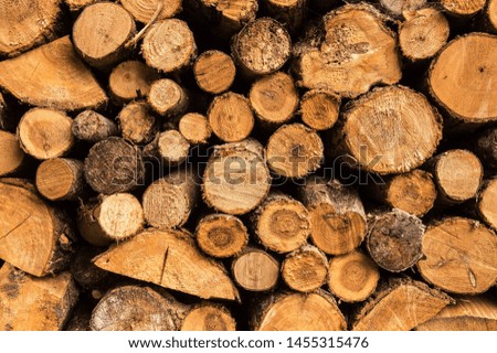 Close up, macro. Stack of wood stock. Timber stack, wood pile. Background, texture.