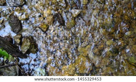 movement of the stream in the forest over the stones in the daytime