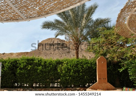 Beach shower against a wicker canopies from the sun.  Palm trees on the background of rocks and green bushes Royalty-Free Stock Photo #1455349214