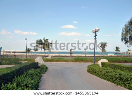 The road to the beach between the green bushes in the distance sand, palm trees and the sea Royalty-Free Stock Photo #1455363194