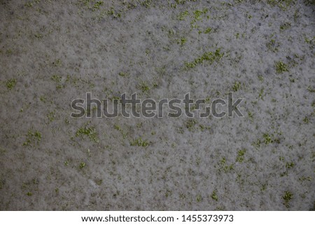 Green grunge mold rough surface vintage old dirty weathering distress texture background