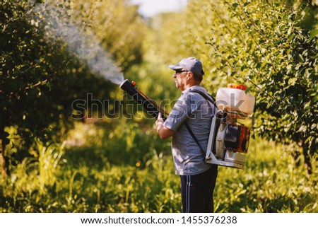 Side view of Caucasian mature peasant in working clothes, hat and with modern pesticide spray machine on backs spraying bugs in orchard.